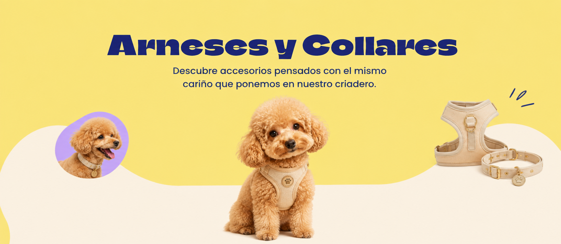 Arneses y Collares