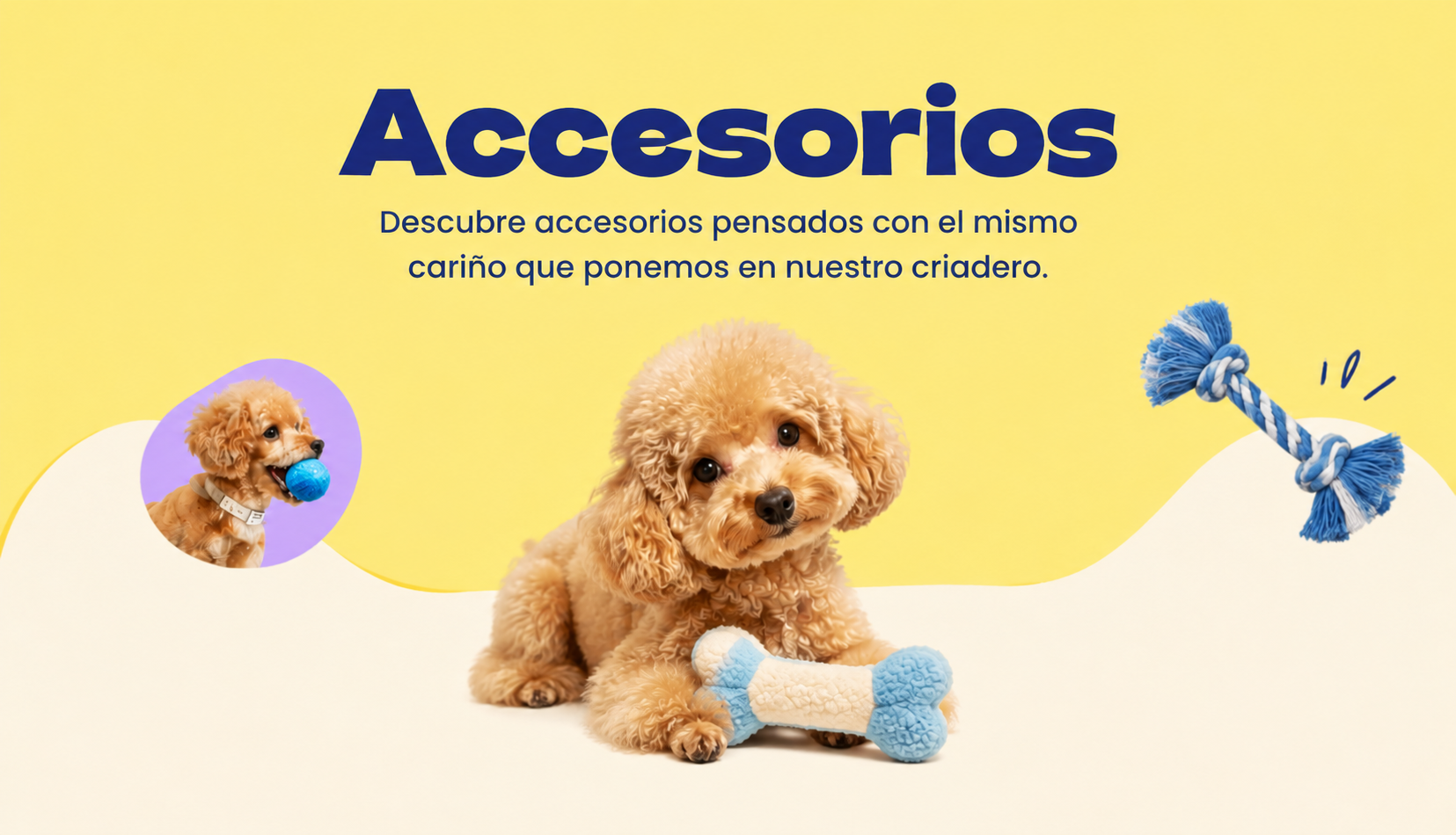 Accesorios