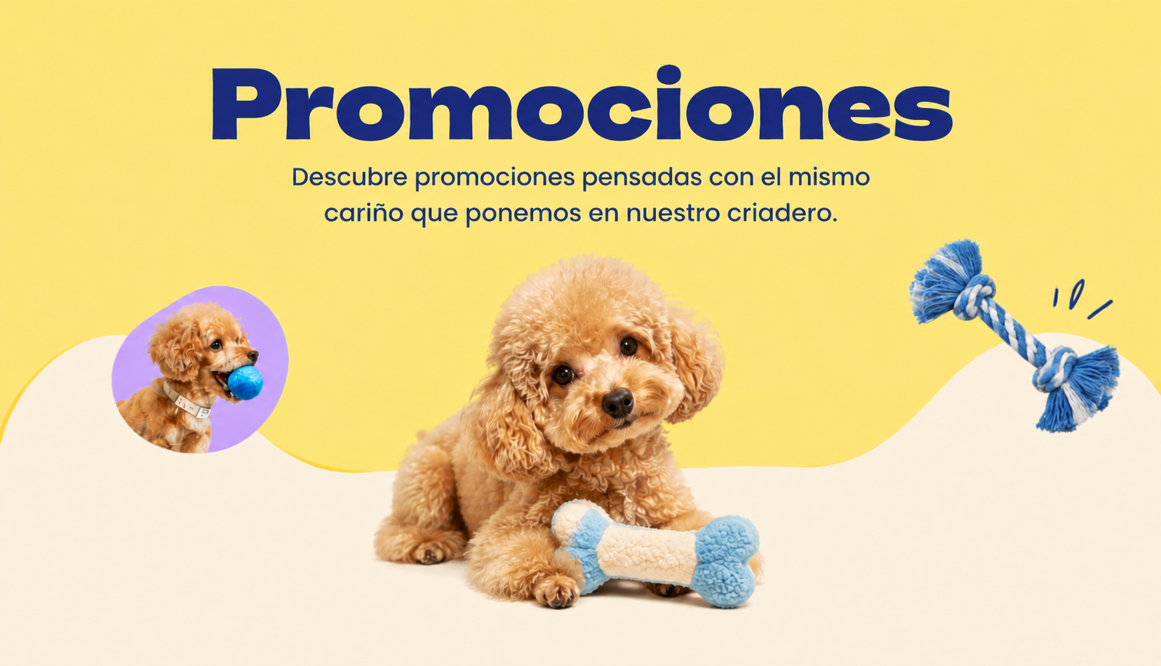 Promociones