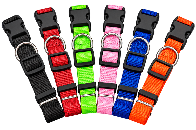 Collar Ajustable para Perro | Varios Colores | Deterrajaras