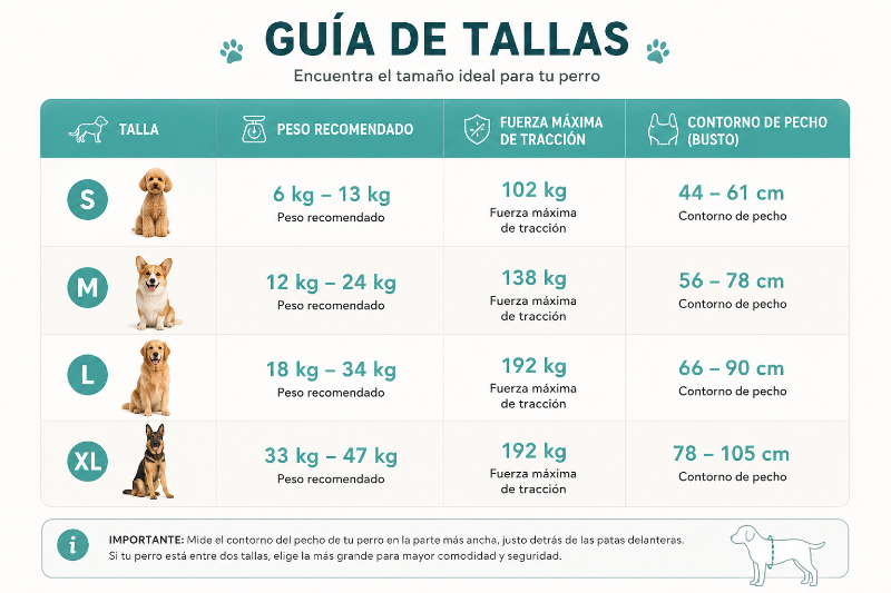 Guia de tallas