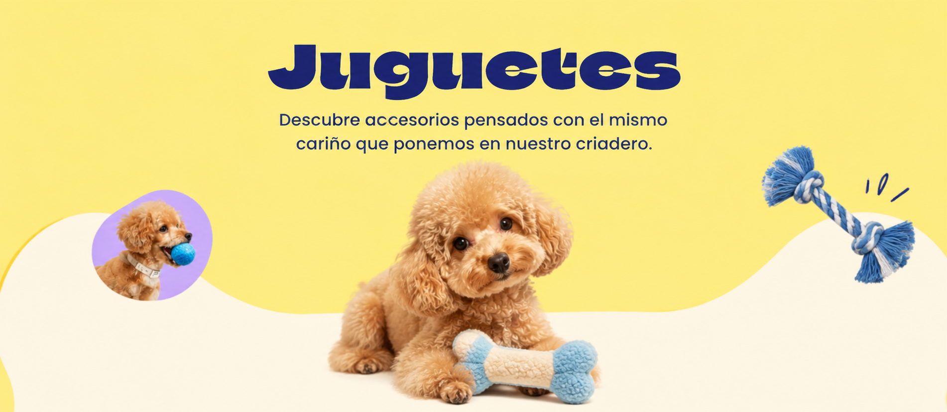 Página de inicio