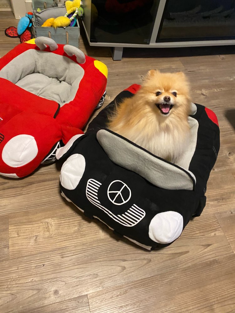 Cama de Coche para Mascotas | Compartimento Trasero | Deterrajaras